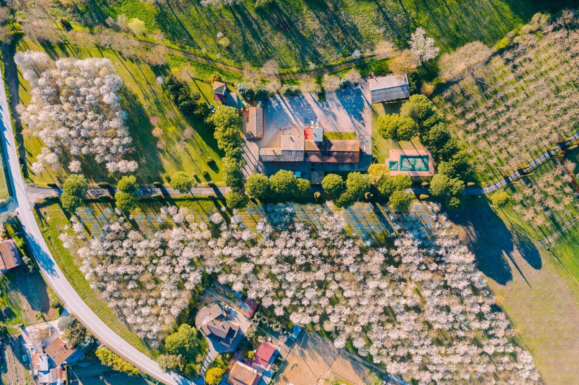 Hotel La Torretta Assisi Ngoại thất bức ảnh